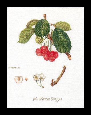 2058 Flarance Cherry Linen. Набір для вишивки хрестом Thea Gouverneur - 1