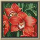 400/47 Красная орхидея. Набор для вышивки крестом Фантазия - 1