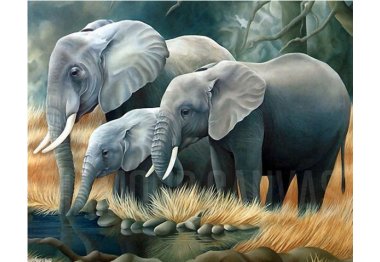 алмазна вишивка dm-189 Сім'я слонів. Набір для виготовлення картини стразами