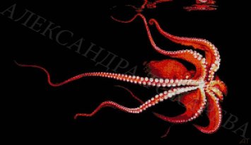 31-1760-НО Осьминог. Набор Для вышивки бисером ТМ Токарева А. - 1 31-1760-НО Осьминог. Набор Для вышивки бисером ТМ Токарева А. - 1