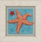 MH141615 Морская звезда. Набор для вышивки в смешанной технике Mill Hill - 1