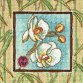 07230 Орхідеї Азії. Набір для вишивки гобеленовим стібком - 1