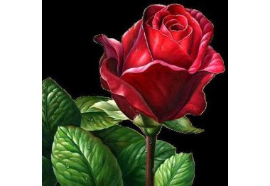 алмазна вишивка dm-333 Червона троянда. Набір для виготовлення картини стразами