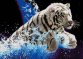 34-1518-НТ Білий тигр. Набір для вишивання бісером ТМ Токарєва А. - 1