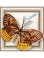 BGP-054 3D Бабочка Eurybia Juturna. Набор для вышивки бисером ТМ Вдохновение - 1