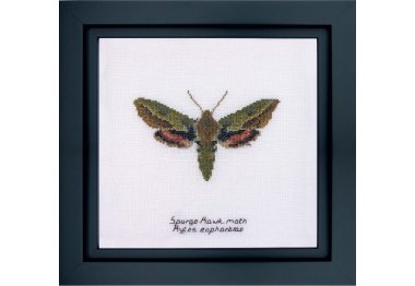  565 Spurge Hawk moth Linen. Набор для вышивки крестом Thea Gouverneur