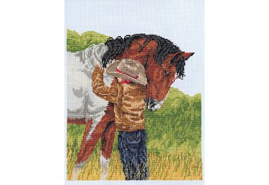  Конь. Набор для вышивки крестом Janlynn арт. 008-0209