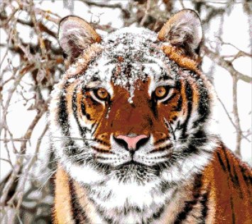 41-2695-НС Сибірський тигр. Набір для вишивання бісером ТМ Токарєва А. - 1