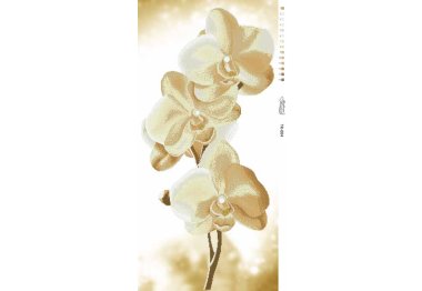  ТК-004 Золотистые орхидеи. Схема для вышивки бисером (атлас) ТМ Барвиста Вишиванка