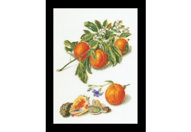  3061 Апельсины и мандарины, Oranges & Mandarins (Теа Гувернер). Набор для вышивки крестом