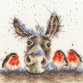 XHD39 Christmas Donkey &quot;Різдвяний осів&quot; Bothy Threads. Набір для вишивки хрестиком - 1