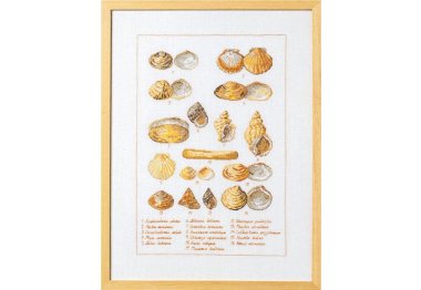  70-6400 Морские раковины (Sea shells. Набор для вышивания крестом PERMIN
