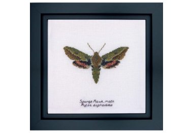  565A Spurge Hawk moth Aida. Набор для вышивки крестом Thea Gouverneur