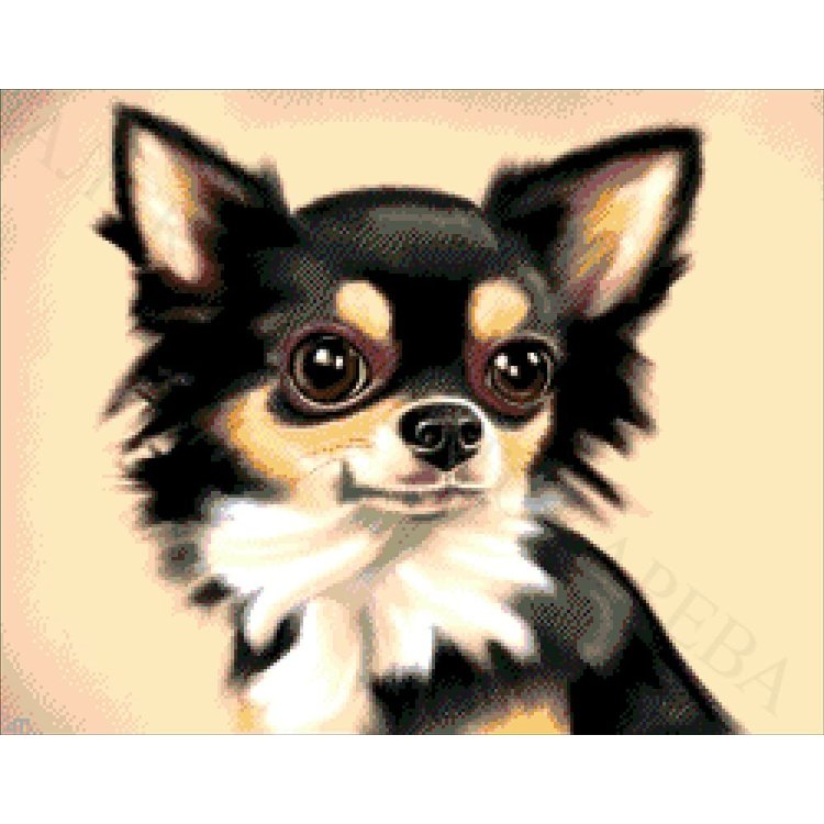 32-1656-НЧ Чихуахуа. Набор Для вышивки бисером ТМ Токарева А. - 1