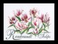 447 Rembrandt Tulips Linen. Набір для вишивки хрестом Thea Gouverneur - 1 447 Rembrandt Tulips Linen. Набір для вишивки хрестом Thea Gouverneur - 1