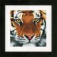 PN-0156010 Тигр. Набір для вишивки хрестиком Lanarte - 1