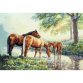 4583 Лошади на водопое. Набор для вышивки крестом Classic Design - 1 4583 Лошади на водопое. Набор для вышивки крестом Classic Design - 1