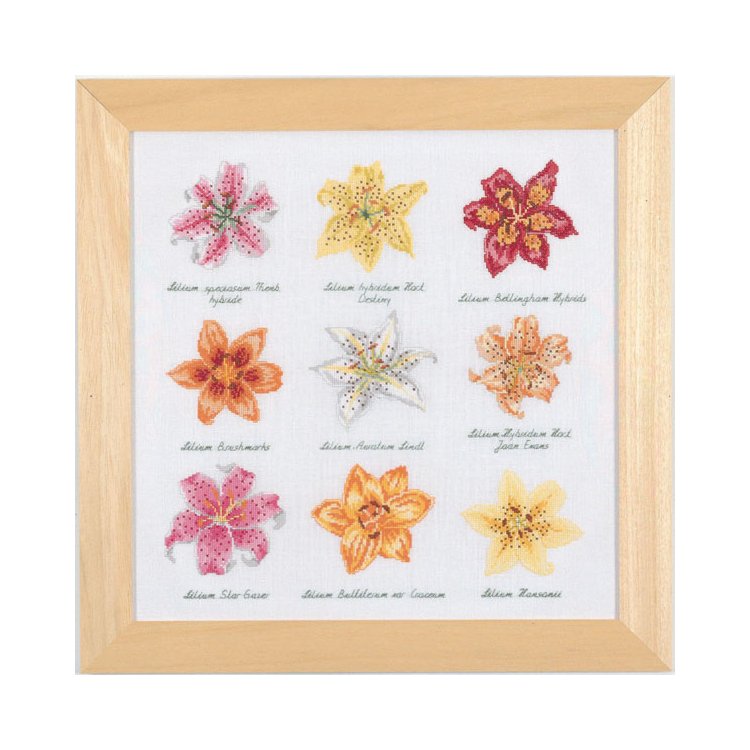 70-8477 Лилии. Набор для вышивания крестом PERMIN - 1 70-8477 Лилии. Набор для вышивания крестом PERMIN - 1