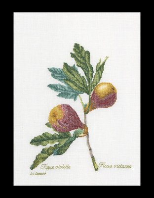 2087 Figs Linen. Набор для вышивки крестом Thea Gouverneur - 1