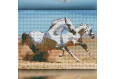 алмазна вишивка TWD20030 Двоє коней. Набор алмазної вишивки