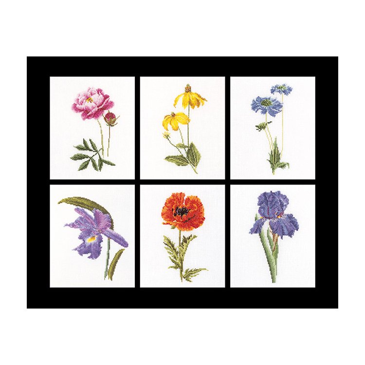 3085 Six Floral Studies Linen. Набор для вышивки крестом Thea Gouverneur - 1
