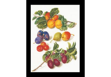  3062 Персики и Сливы, Peaches & Plums (Теа Гувернер). Набор для вышивки крестом