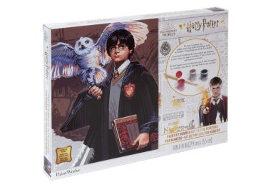  73-91827 Набор для рисования красками по номерам Dimensions "Harry Potter" Гарри Поттер"