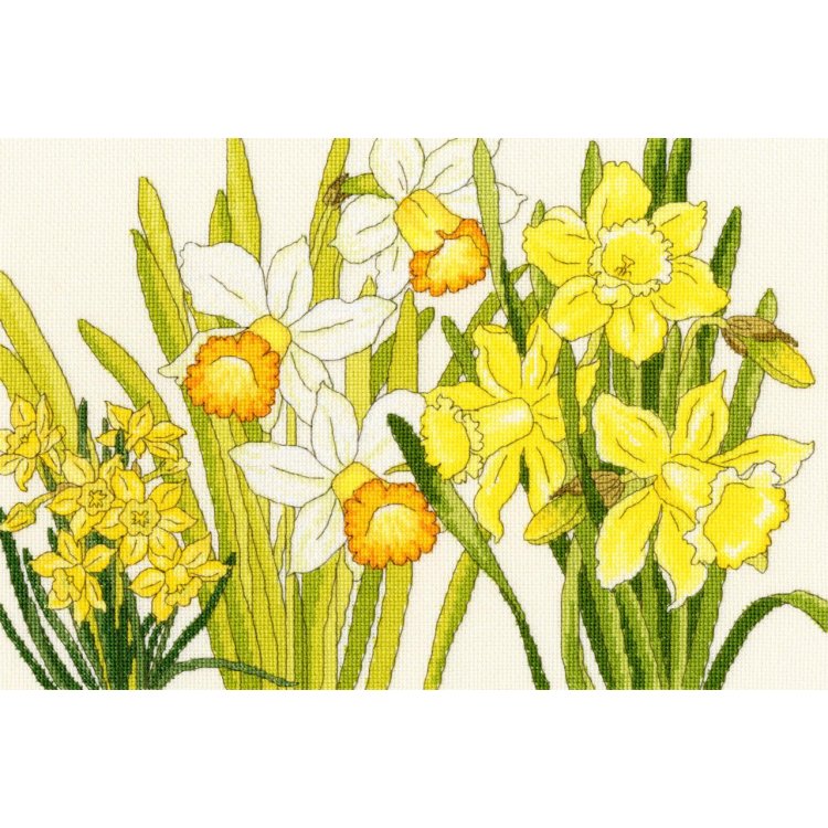 XBD10 Daffodil Blooms &quot;Нарцис цвіте&quot; Bothy Threads. Набір для вишивки хрестиком - 1