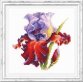 150-011 Ирис. Набор для вышивки крестом Magic Needle - 1 150-011 Ирис. Набор для вышивки крестом Magic Needle - 1