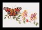 439 Butterfly-Honeysuckle Linen. Набор для вышивки крестом Thea Gouverneur - 1