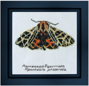 569 Harnessed Tiger moth Linen. Набор для вышивки крестом Thea Gouverneur - 1