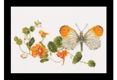  437A Butterfly-Nasturtium Aida. Набор для вышивки крестом Thea Gouverneur