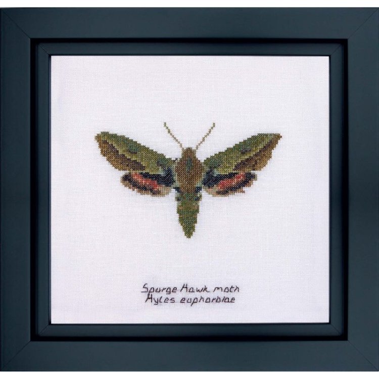 565 Spurge Hawk moth Linen. Набір для вишивки хрестом Thea Gouverneur - 1