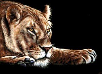 35-1518-НЛ Левиця. Набір для вишивання бісером ТМ Токарєва А. - 1 35-1518-НЛ Левиця. Набір для вишивання бісером ТМ Токарєва А. - 1