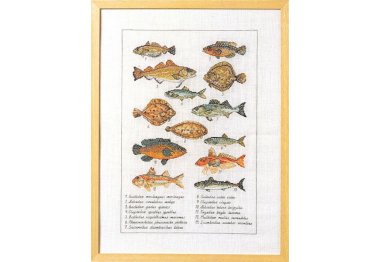  70-6408 Рыбы (Fish. Набор для вышивания крестом PERMIN