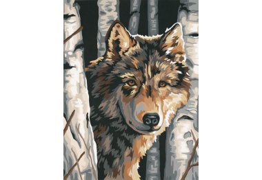  91325 Набор для рисования карандашами по номерам "Волк среди берез" Dimensions
