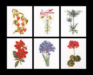 3082 Six Floral Studies Linen. Набор для вышивки крестом Thea Gouverneur - 1
