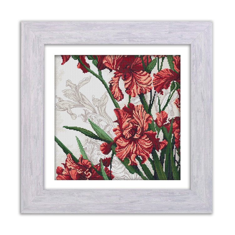 N022 Багряні півники. Набір для вишивки хрестом Кольорова - 1