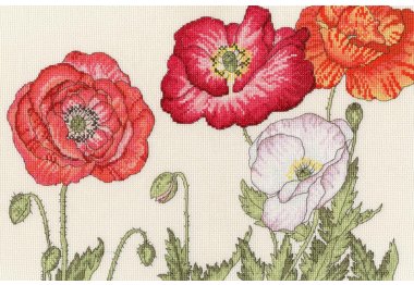  XBD15 Набор для вышивания крестом Poppy blooms "Мак цветет" Bothy Threads
