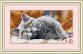 30055 Димчастий кіт 1. Набір для малювання камінням - 1