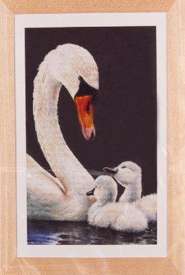 606.05 Swans and Signets Black Aida. Набір для вишивки хрестом Thea Gouverneur - 1
