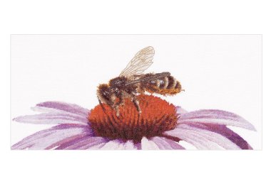  549A Bee on Echinacea Aida. Набор для вышивки крестом Thea Gouverneur
