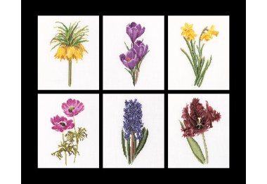  3083 Шесть цветков, Six Floral Studies (Теа Гувернер). Набор для вышивки крестом