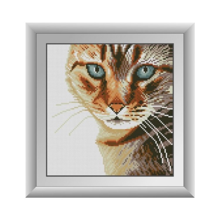 30574 Бенгальський кіт. Набір для малювання камінням - 1