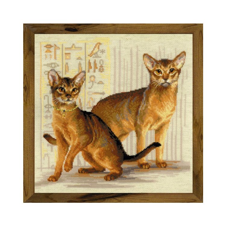 1671 Абиссинские кошки. Набор для вышивки крестом Риолис - 1