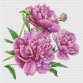 164 Пионы. Набор для вышивки крестом Dantel - 1 164 Пионы. Набор для вышивки крестом Dantel - 1