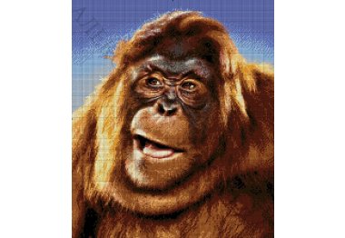  36-1435-НО Вогняна мавпа. Набір для вишивання бісером ТМ Токарєва А.