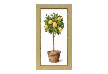  ВТ-075  "Лимонное дерево" Набор для вышивки крестом
