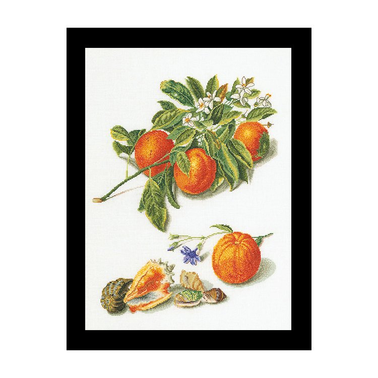 3061 Oranges &amp; Mandarins Linen. Набір для вишивки хрестом Thea Gouverneur - 1
