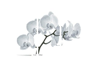  ТК103 Монохромна сіра орхідея. Схема для вишивки бісером (габардин) ТМ Барвиста Вишиванка
